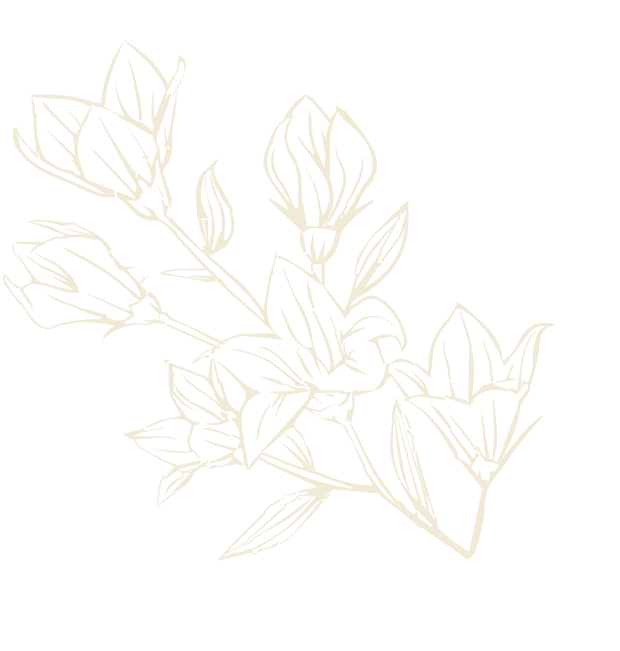 Flower Image