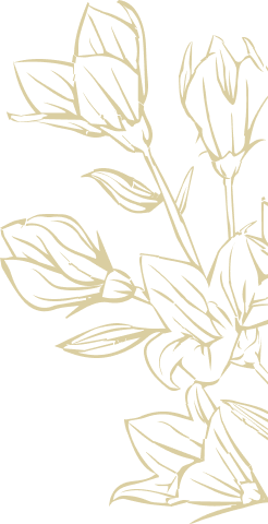 Featured Boutique Flower