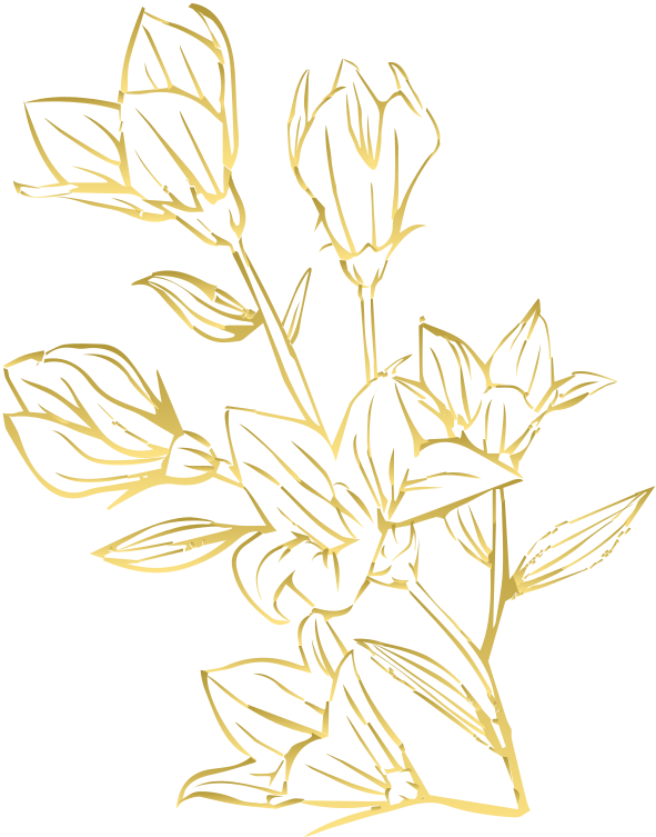 Featured Brides flower
